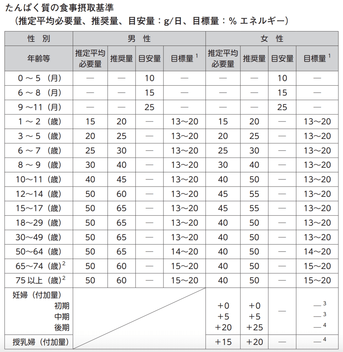 たんぱく質の食事摂取基準表。性別・年齢別の推定平均必要量と推奨量が並ぶ